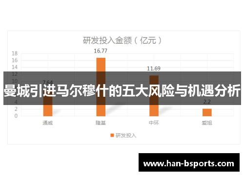 曼城引进马尔穆什的五大风险与机遇分析