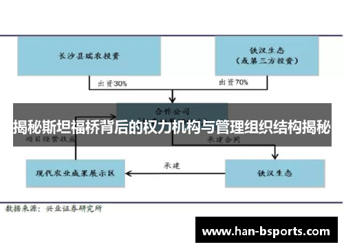 揭秘斯坦福桥背后的权力机构与管理组织结构揭秘