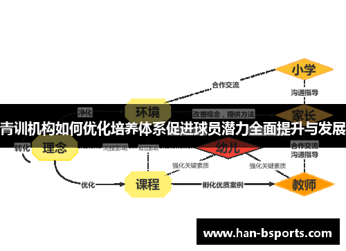 青训机构如何优化培养体系促进球员潜力全面提升与发展