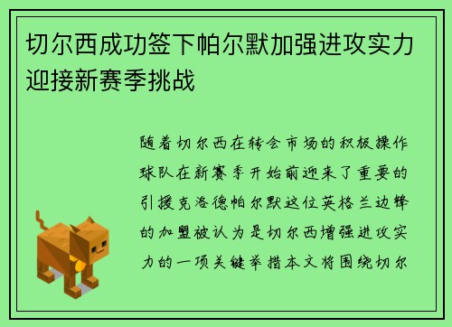 切尔西成功签下帕尔默加强进攻实力迎接新赛季挑战